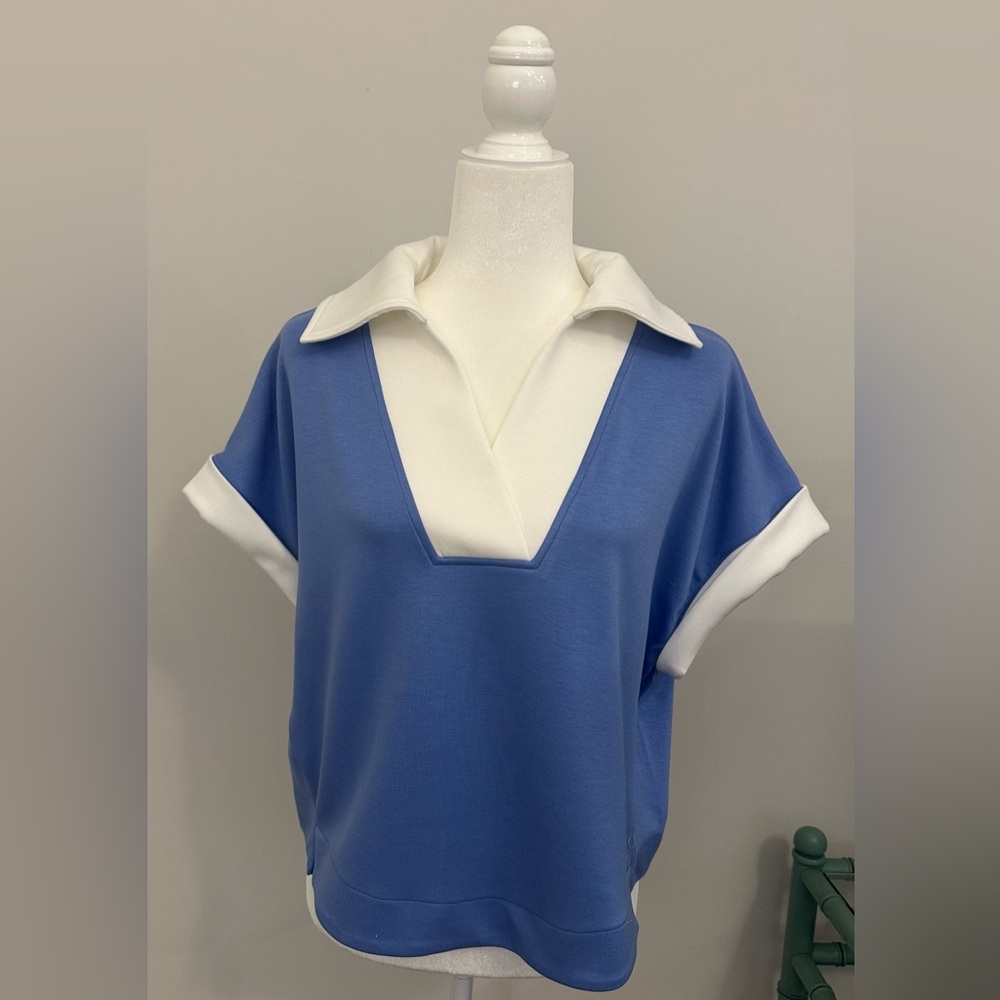 Umgee Blue and White V-Neck Blouse